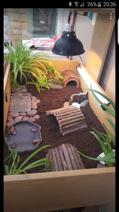 a wooden box filled with dirt and plants