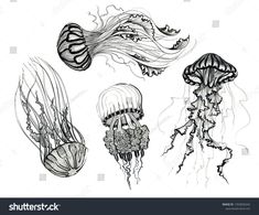 four different types of jellyfish in black and white