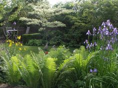 the garden is full of purple flowers and green plants, including tall grass with bluebells in the foreground