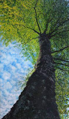 a painting of a tree with green leaves and blue sky in the background, looking up at it's trunk