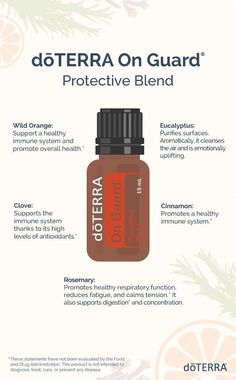 On Guard Essential Oil, Doterra On Guard, Orange Eucalyptus, Essential Oils Doterra, Cinnamon Orange