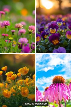 four different pictures with flowers in them