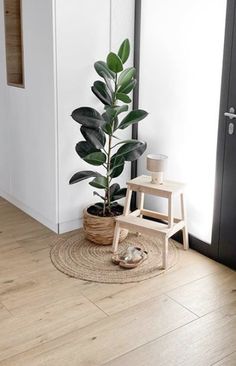 a potted plant sitting on top of a wooden stool next to a door way