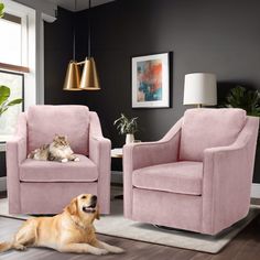 a dog and cat are sitting in the living room with two chairs, one is pink