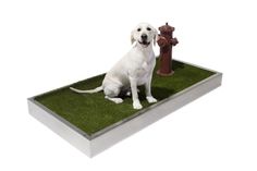 a white dog sitting on artificial grass next to a red fire hydrant in front of a white background