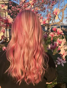 Pearl Strawberry Blonde Hair, Highlights In Blonde Hair Colorful, Long Blonde Hair With Pink Highlights, Pink To Blonde Hair, Pink Hair On Blonde, Pink Hair With Blonde Highlights, Blonde Hair With Color Streaks, Pink And Ginger Hair, Cute Dyed Hair