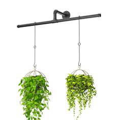 two hanging planters filled with green plants