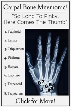 a skeleton hand with the words carpal bone mementoic