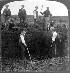 an old black and white photo of men working in the field with donkeys on their backs