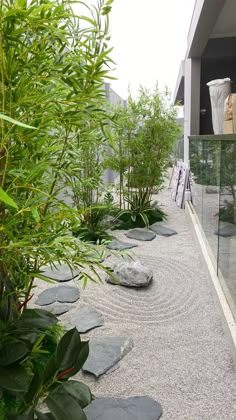 there are many plants and rocks on the ground in front of a building with glass walls