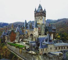 an old castle in the middle of a forest