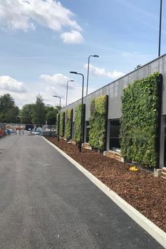 an empty street lined with plants next to a building