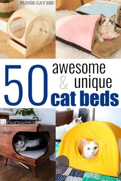 there are many different cat beds that can be found in the house