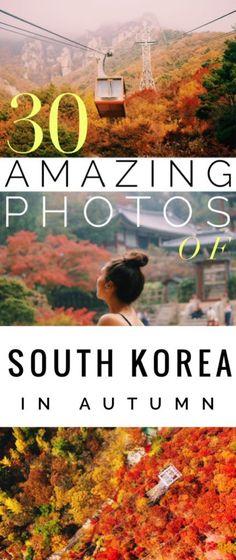 the cover of 30 amazing photos of south korea in autumn