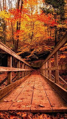 a wooden bridge in the middle of a forest with fall leaves on the ground and trees