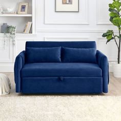 a blue couch sitting on top of a white rug next to a book shelf and potted plant