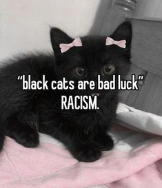 black cats are bad luck racism