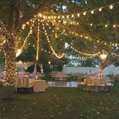 an outdoor dining area with lights strung from the trees and tables set up for dinner