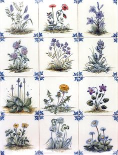 nine pictures of different flowers and plants in blue and white tiles with floral designs on them