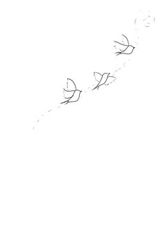 a drawing of birds flying in the sky