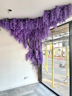 purple flowers are growing on the side of a building in front of a large window