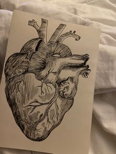 a drawing of a human heart on top of a bed