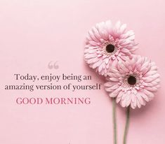 two pink daisies with the words good morning on it and an image of flowers