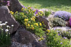 Rockery Garden, Gardeners World, Brick Steps, Brick Siding, Monty Don, Outdoor Barbeque, Garden Paving, Alpine Plants, Long Walls