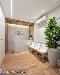 a bathroom with two white chairs and a potted plant