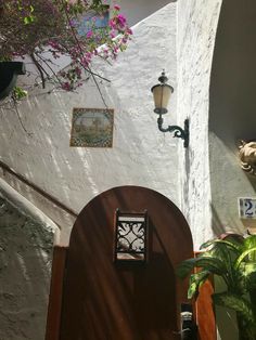 a lamp on the side of a building next to a tree and potted plant