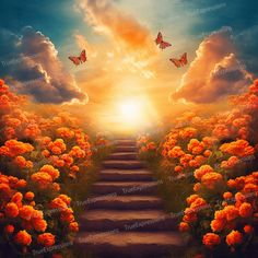 the sun is setting over a flower field with stairs leading to butterflies