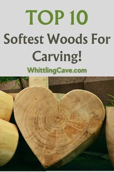 the top 10 softest woods for carving