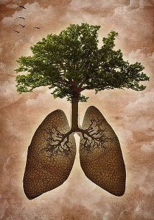 the lungs and tree are depicted in this painting