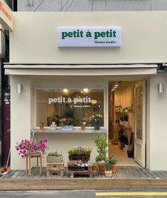 a store front with potted plants in the window