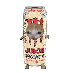 Sad cat in a can, monster, juice, pacific punch Cat In Food, Costume Rockstar, Food Costumes, Rockstar Energy, White Pineapple