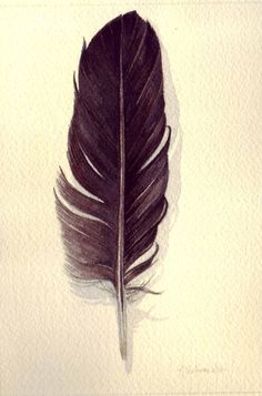 a drawing of a black feather on a white background