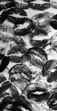 black and white photograph of many feathers on the ground, taken from an airplane window