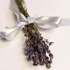 a bunch of lavender flowers tied to a white ribbon