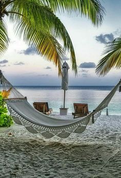 a hammock sitting on top of a sandy beach next to the ocean and palm trees