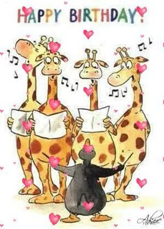 three giraffes sing happy birthday to each other