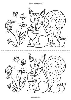 two coloring pages with different animals and plants