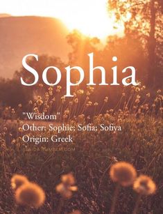 the cover of sophiia, which features flowers in front of a mountain range