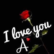 a red rose with the words i love you in white lettering on a black background