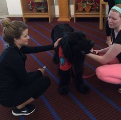 two women petting a black dog on the floor