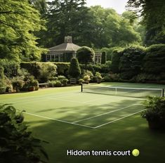 a tennis court surrounded by trees and bushes