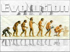 an image of the evolution of humans