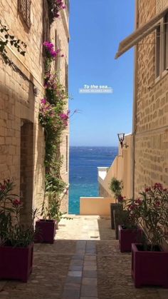 an alley way leading to the ocean with potted plants