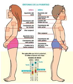 La pubertad - Escolar - ABC Color Recycling Facts, Human Body Organs, Homeopathy Remedies, School Book Covers, Smart Parenting, Learning Techniques, Body Organs, Medical Knowledge, Learning Disabilities