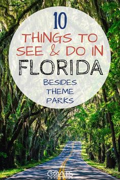 a road with trees and the words 10 things to see and do in florida besides them