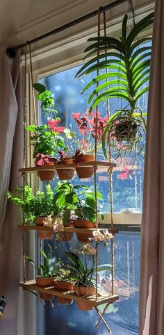 a window sill filled with potted plants next to a window